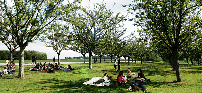Continuités écologiques : la trame verte et bleue