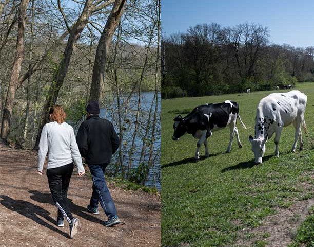 La grande enquête “La nature et vous” revient !