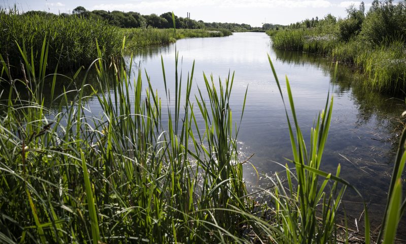 Ecoconception des quartiers : la gestion des eaux pluviales